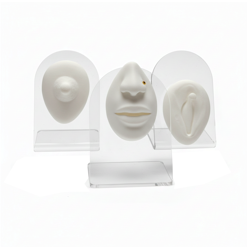 Espositore di Acrilico e Silicone Modelo Bocca Mamilo e Intimo