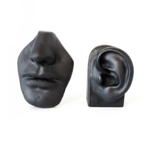 Espositore di Resistant Silicone, Modelo Bocca e Orecchio