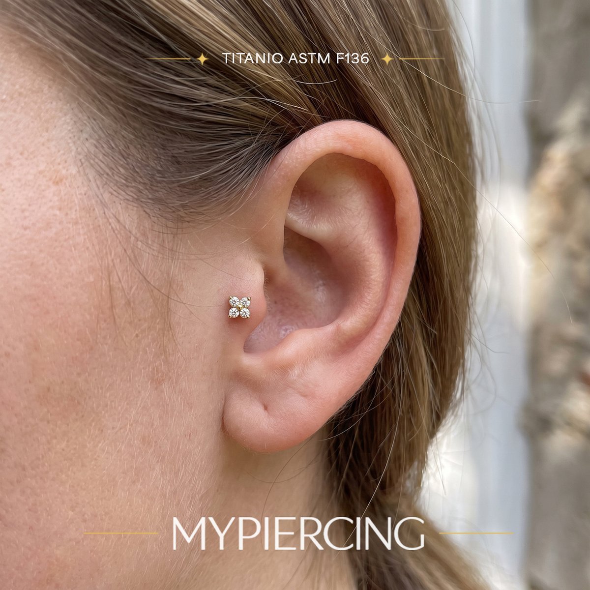 Imagem 221 - LBT PIN.P FLOR MINI F4 CZ TIT (PCX6)