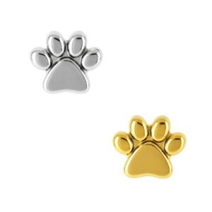 Labret Zampa Liscia di Titanio ASTM F136