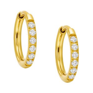 Orecchino A Cerchio Con Zirconi 1,6 Di Titanio ASTM F136