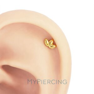 Labret Marquise Maggiore Liscia di Titanio ASTM F136