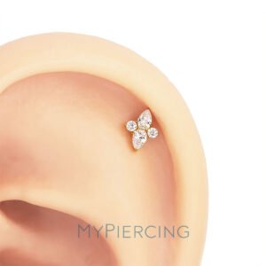 Labret Stella Artica in Titanio ASTM F136