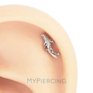 Labret Carpa In Titanio ASTM F136