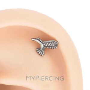 Labret Colibrì di Titanio ASTM F136