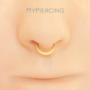 Segmento Clicker Abaloado di Titanio ASTM F136