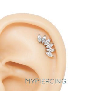 Labret Cluster 6 Navette di Zirconi in Titanio