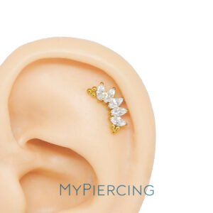 Labret Cluster 5 Navette e 6 Beads Titanio ASTM F136