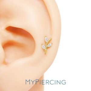 Labret di Titani o Ramo di zirconi