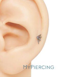 Labret Rete di Titanio ASTM F136