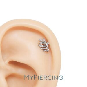 Labret di Titanio con Zirconi