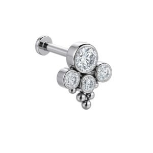 Labret Zampa Indiana di Titanio