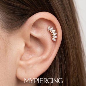 Labret Cluster 6 Navette di Zirconi in Titanio