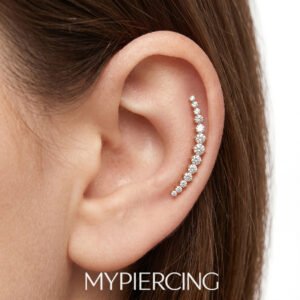 Labret Cluster Lungo di Titanio con Zirconi