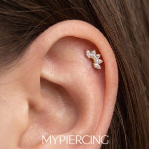 Labret di Titanio con Zirconi Push Pin