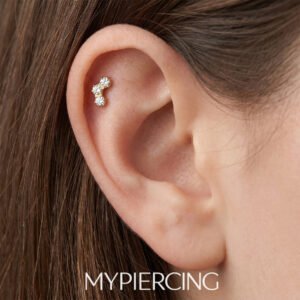 Labret di Titanio Nido d’ape con Zirconi