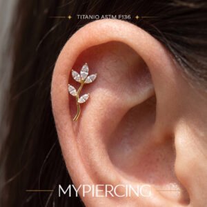 Labret in Titanio Rametto Curvo di Zirconi Marquise