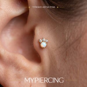Labret Zampa con Zirconia di Titanio ASTM F136